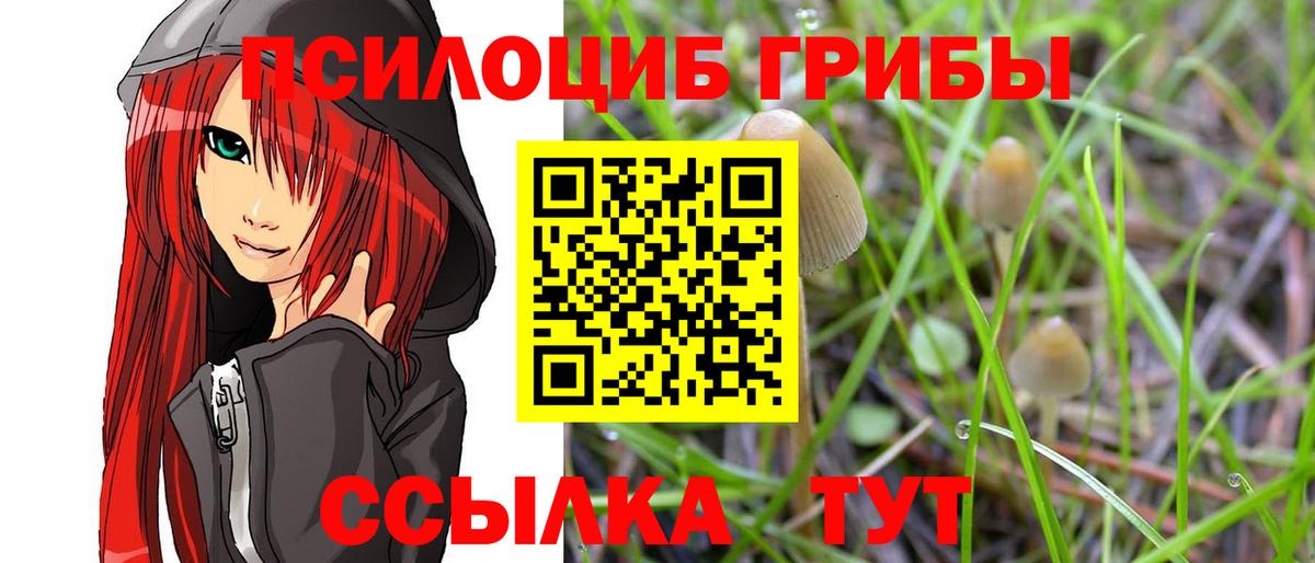 Галлюциногенные грибы MAGIC MUSHROOMS  даркнет сайт  Сочи  Вход с VPN 